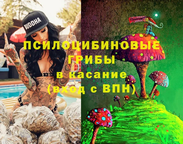 винт Алексеевка
